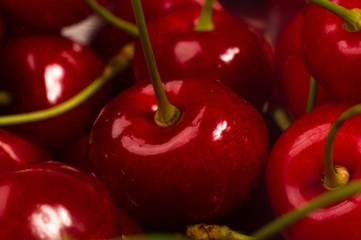 large ripe red sweet cherries