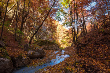 National Park of Abruzzo, Lazio and Molise (Italy) - The autumn with foliage in the italian mountain natural reserve, with little old towns, the Barrea Lake, Camosciara, Forca d'Acero, Val Fondillo