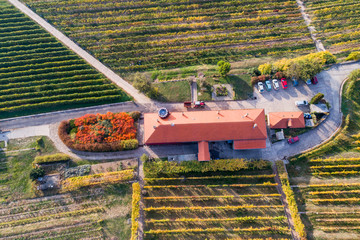 aerial view of vineyard