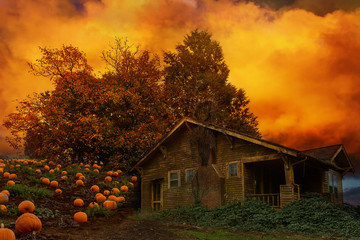 Old House Pumpkin Patch in Oregon USA America