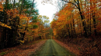 Fall back roads 