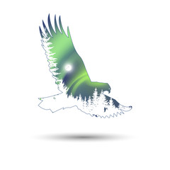 Silhouette of eagle with white coniferous trees on the background of green  sky.