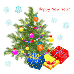 Real Christmas spruce tree.