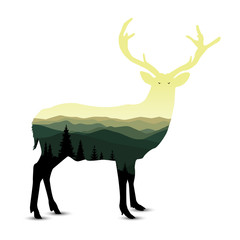 Silhouette of wild deer with coniferous trees on the background of colorful sky.   Night. Northern lights.