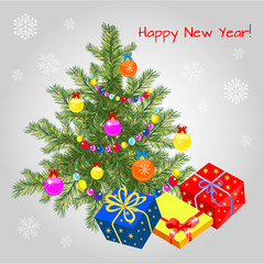 Real Christmas spruce tree.