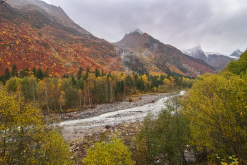 Landscape in the mountains with a golden autumn river. Gorge and the Alibek River, Dombai, Caucasus