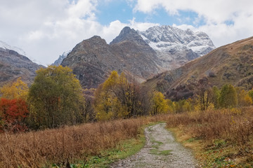 Fototapeta na wymiar Landscape with dirt road in the mountain forests in the golden autumn. Caucasus, Dombay