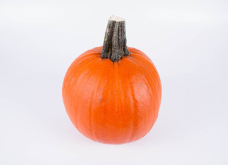 Pumpkin on a white background