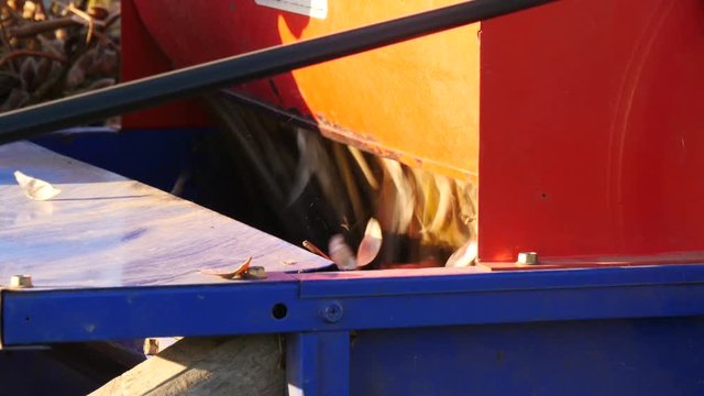 Threshing soybean mechanical method working in asia
