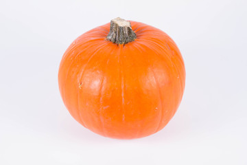 Pumpkin on a white background