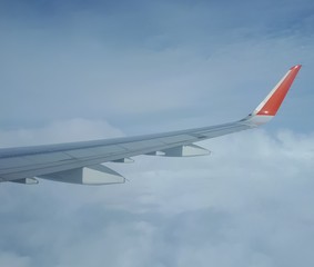 The wing: only white