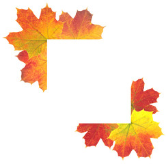 Autumn Leaves as frame on white background