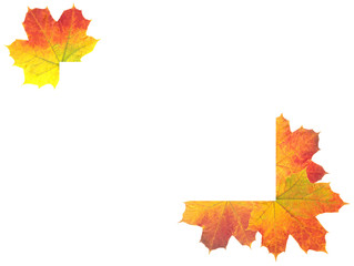 Autumn Leaves as frame on white background