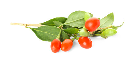 Twig with goji berries on white background