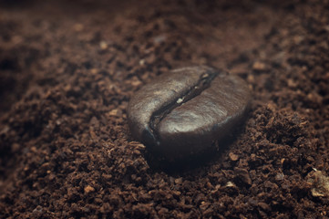 Grain of fragrant coffee macro closeup
