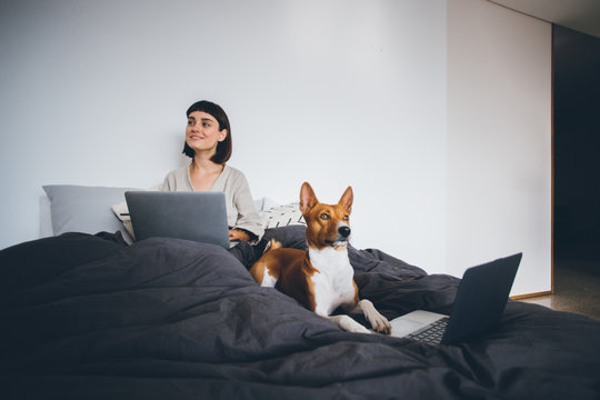 Cute and adorable puppy dog lays on bed with laptop and works on project, with owner pretty young woman freelancer, discuss new ideas for startup, out of bedroom, sick leave