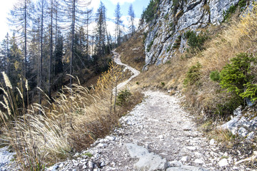 montagna percorso 215