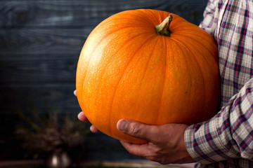 Background with pumpkin in the hands of men