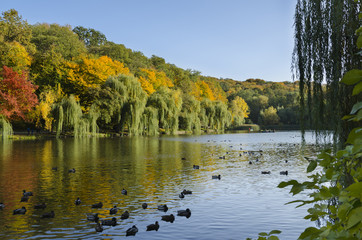 beautiful autumn landscape