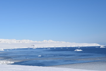 antartica