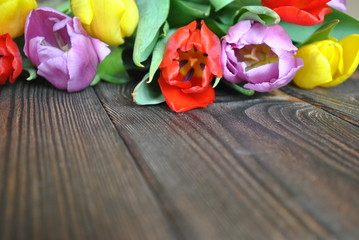 Tło z tulipanami