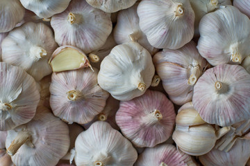 Garlic bulbs background. Garlic