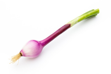 Green onion isolated on the white background.