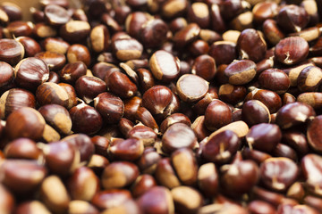 Chestnut