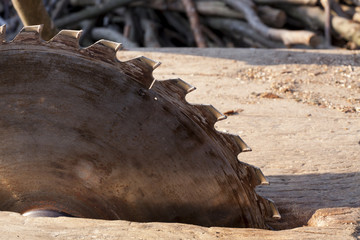 Circular saw. Circular Saw on wooden background with daylight