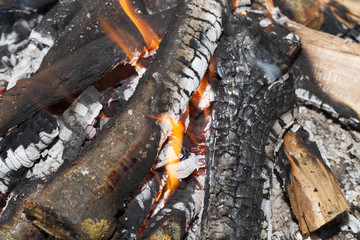 burning firewood in fire