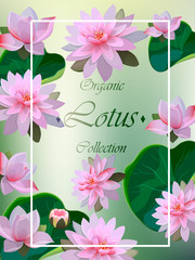 illustration of lotus flower