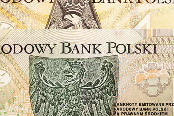 Polish money close-up