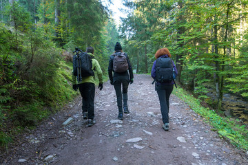 Group of hikers on a trail