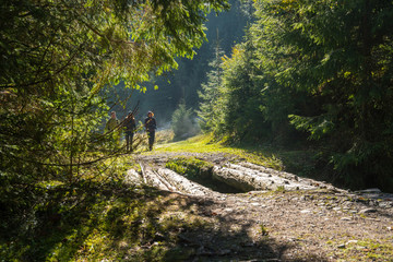 Group of hikers on a trail