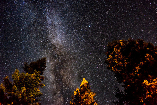 Milky Way Night Sky view with illuminated trees in Crater Lake N