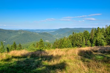 Summer mountain landscape. Beautiful green hills on a sunny day.