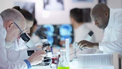 Happy scientific research team make a discovery in the lab.