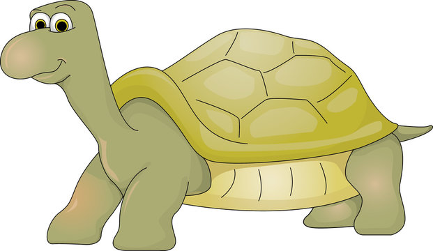Tortuga gigante de galápagos dibujo caricatura personaje