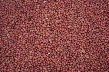 Close up Red  Bean background, Red  Beans seeds.
