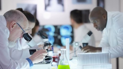 Happy scientific research team make a discovery in the lab.