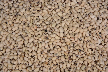 Closeup  and Top view shot of Navy Bean  texture, food background