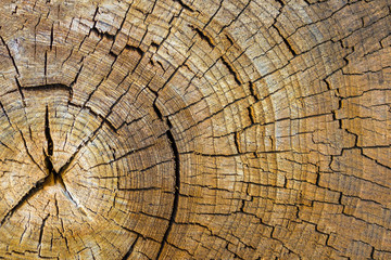 Wooden texture.