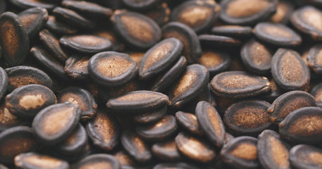 Dried Black Melon Seeds