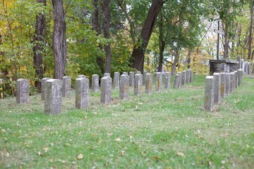 Headstones line the back of a tree lined cemetery