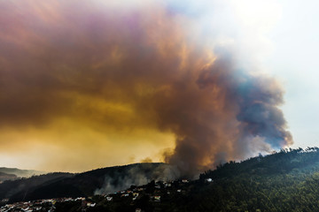 Obraz premium Forest fire near Coimbra, Portugal