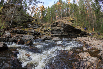 Mountain river in a wild forest