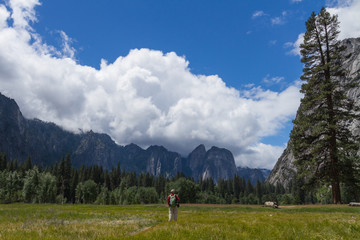 Male Hiker Standing in a Meadow, Yosemite National Park, California, USA