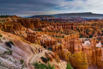 View towards Bryce Canyon Ampitheater in Utah United States of A