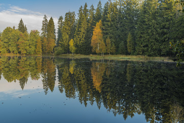 Fototapeta na wymiar Kladska pond with rebound in water in autumn morning