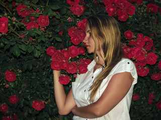 Beautiful woman in white shirt next to a Bush of wild red roses.